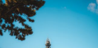 Pagoda Lisburn Secrets: Discover The Hidden Charm Nearby