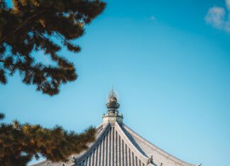 Pagoda Lisburn Secrets: Discover The Hidden Charm Nearby