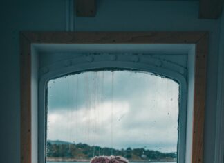 Weather Lisburn Northern Ireland: Discover What Makes It Unique Today