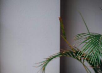 Vic Ryn Cafe Lisburn: Discover The Hidden Gem Serving Delightful Treats