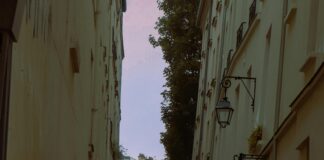 Lisburn City Library: Discover Hidden Gems and Rare Collections Today