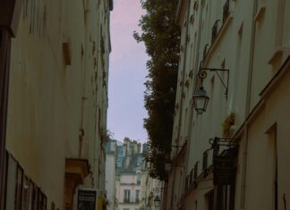 Lisburn City Library: Discover Hidden Gems and Rare Collections Today