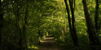 Gyms In Lisburn Northern Ireland: Discover Top Fitness Spots Today