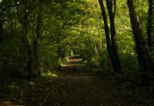 Lisburn Lisburn: Discover Hidden Gems And Secrets Of This City