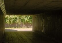 Argos Lisburn Sprucefield: Discover Exclusive Deals Near You