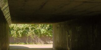 Argos Lisburn Sprucefield: Discover Exclusive Deals Near You