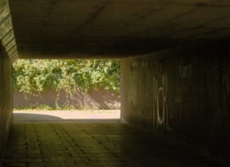 Ahead In Sheds Lisburn Lisburn: Discover Why It’s The Best Choice