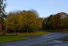 Dominos Lisburn Road: Why Locals Can’t Get Enough of It