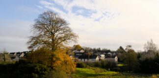 Houses For Sale Lisburn Area: Discover Your Dream Home Today