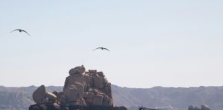 Clip And Climb Lisburn: Discover Exciting Adventures For All Ages