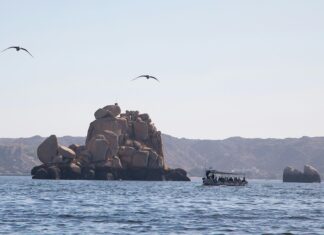 Clip And Climb Lisburn: Discover Exciting Adventures For All Ages