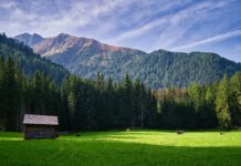 Weather In Lisburn 10 Days: What Surprising Changes Should You Expect?