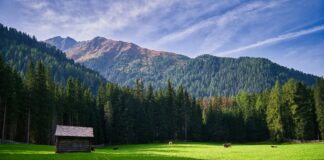 Weather In Lisburn 10 Days: What Surprising Changes Should You Expect?