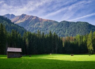 Weather In Lisburn 10 Days: What Surprising Changes Should You Expect?