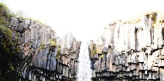 Iceland Lisburn: Discover Amazing Deals and Hidden Shopping Gems