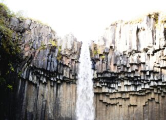 Iceland Lisburn: Discover Amazing Deals and Hidden Shopping Gems