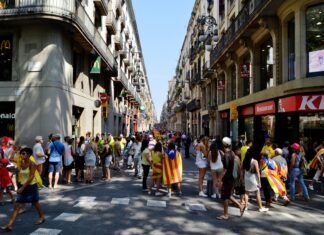 McDonald’s Lisburn Secrets: Why Locals Can’t Get Enough