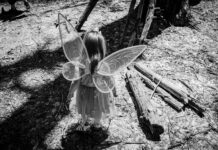 Little Wings Lisburn: Discover The Magic Behind This Unique Experience