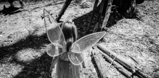 Little Wings Lisburn: Discover The Magic Behind This Unique Experience