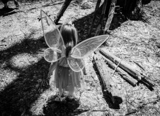 Little Wings Lisburn: Discover The Magic Behind This Unique Experience