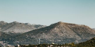 Camile Lisburn Road: Why Locals Are Raving About This Hidden Gem