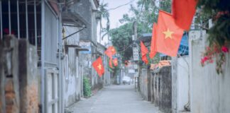 Lisburn County Council: Discover How It Transforms Local Communities