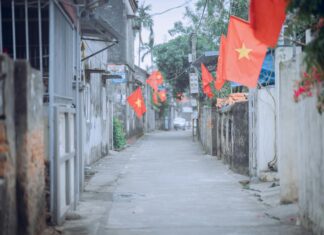 Lisburn County Council: Discover How It Transforms Local Communities