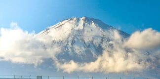 Mccalls Of Lisburn: Discover Why Locals Trust This Iconic Store