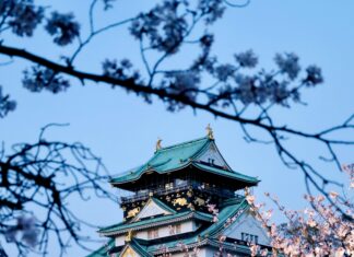 Lisburn Castle Gardens: Discover Stunning Beauty and Hidden Secrets