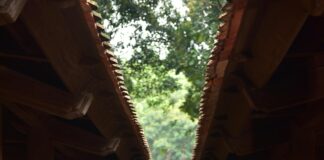 Linen Museum Lisburn: Discover The Untold Stories Of Heritage