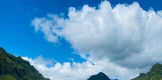 Lagan Valley Island Lisburn: Discover Hidden Gems and Best Attractions