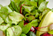 Greens Lisburn: Discover The Hidden Gem For Fresh Organic Produce Greens Lisburn: Discover The Hidden Gem For Fresh Organic Produce