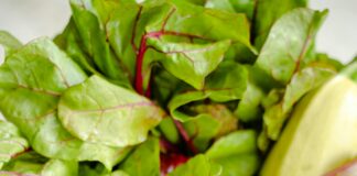 Greens Lisburn: Discover The Hidden Gem For Fresh Organic Produce