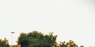 Lisburn Road Cafes Belfast: Discover Hidden Gems Worth Visiting