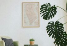 Pets At Home Lisburn: Discover Expert Tips & Must-Have Supplies!