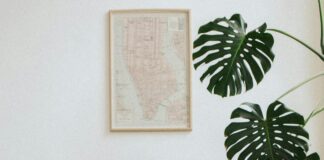 Pets At Home Lisburn: Discover Expert Tips & Must-Have Supplies!