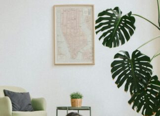 Pets At Home Lisburn: Discover Expert Tips & Must-Have Supplies!