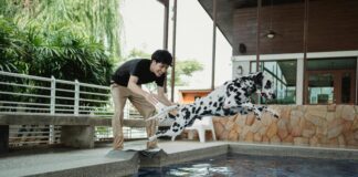 Wallace Park Lisburn: Discover Hidden Gems and Family Fun Spots