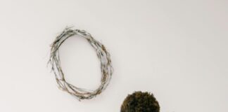 Lisburn Soft Play: Discover The Ultimate Fun And Safe Adventure