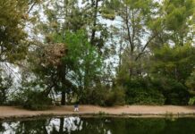 Habitat For Humanity Restore Lisburn: How Can You Make Impact?