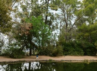 Habitat For Humanity Restore Lisburn: How Can You Make Impact?