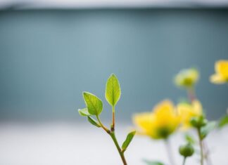 Lisburn Community Embarks on a Journey of Self-Improvement Lisburn Community Embarks on a Journey of Self-Improvement